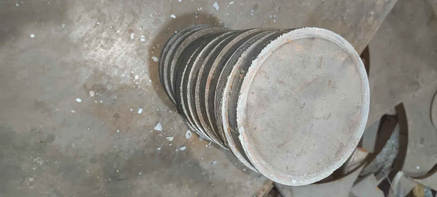 MS CIRCLE